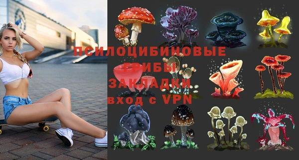 бошки Горняк