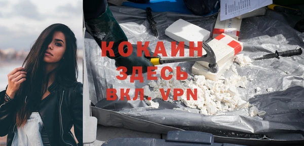 бошки Горняк