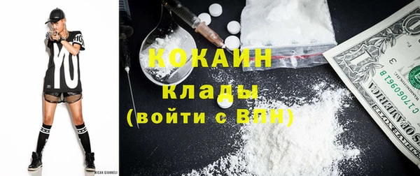 бошки Горняк
