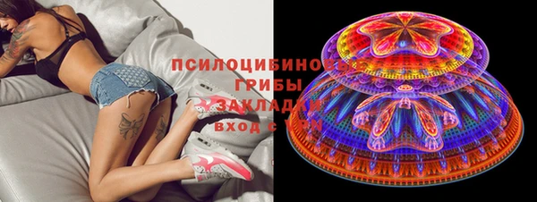 бошки Горняк
