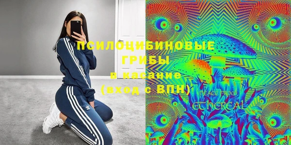 бошки Горняк